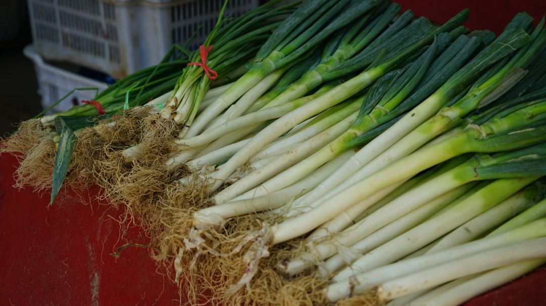 菜篮子山东寿光被淹小编探访太原菜场菜价要