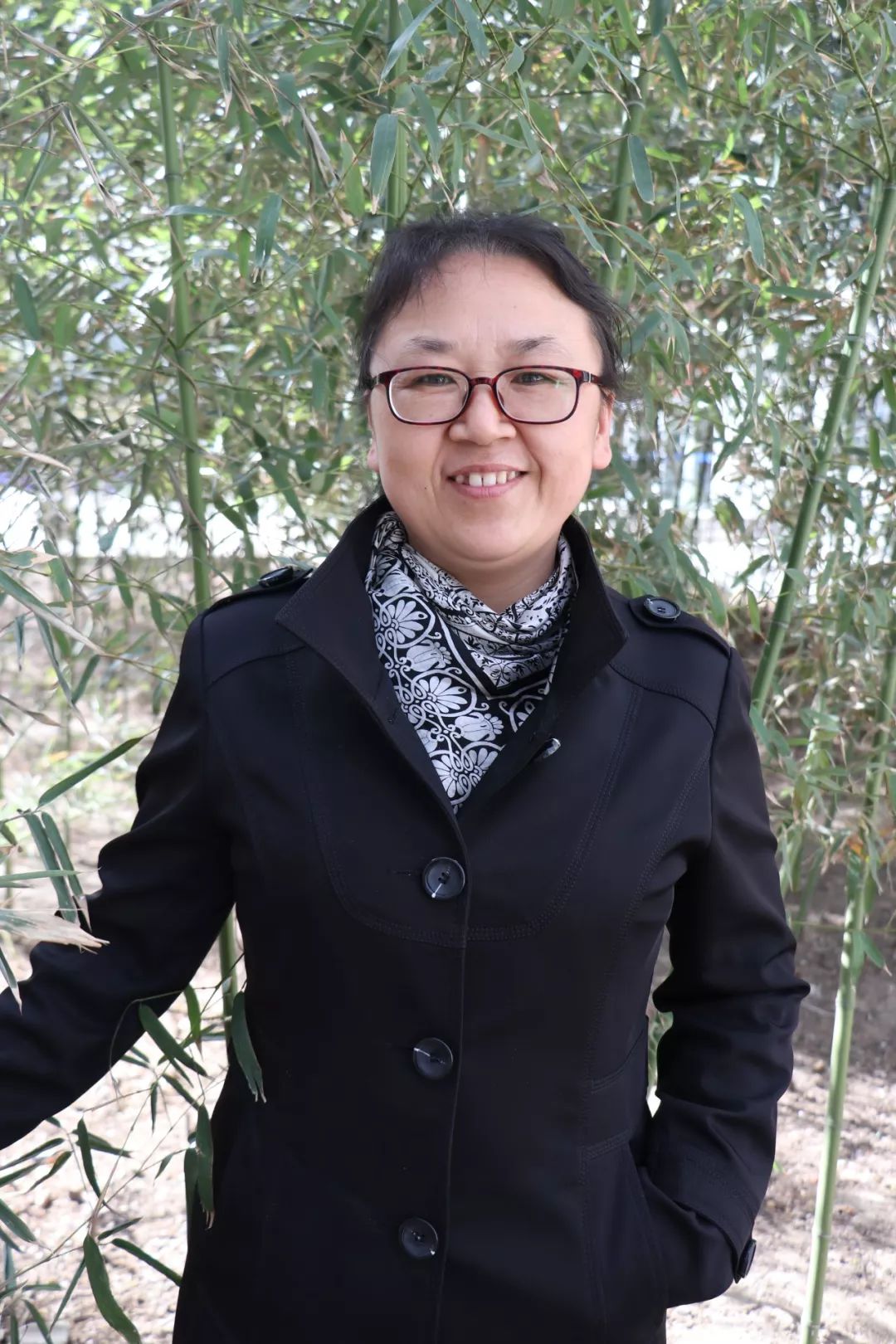 化学 吕静老师生物 黄万镇老师体育 王辉老师(小编窃以为,体育老师