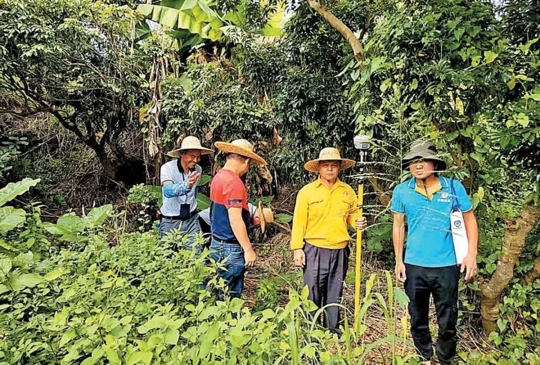 陪同業主去鷹山墓園挑選墓位組員需要在現場確認情況僅這一天就有11戶