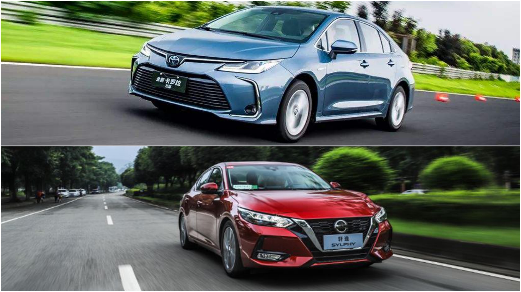 卡罗拉/轩逸怎么选?看完懂!专治选择困难