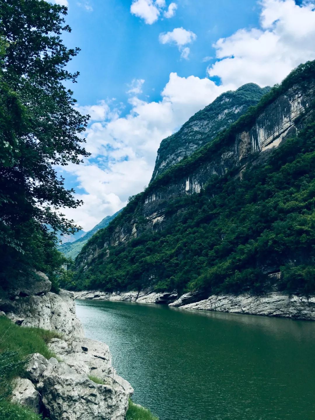 【微分享】今天,长阳被中央媒体关注!