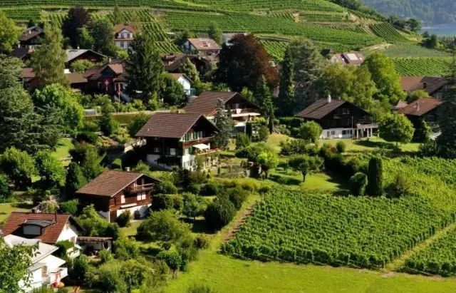 如何建设森林旅游和森林小镇