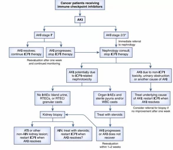 免疫檢查點抑制劑急性腎損傷又添新病因