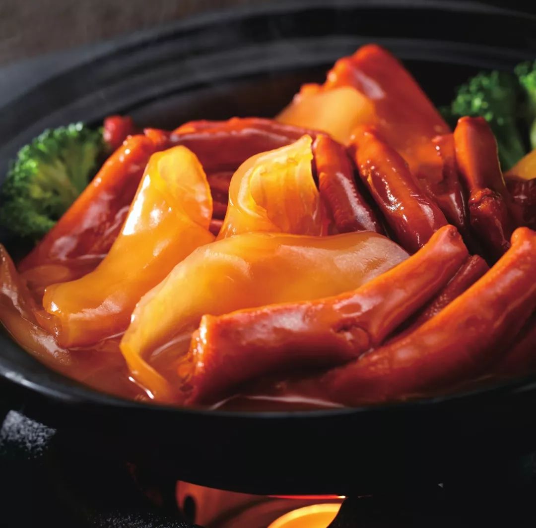 花胶鹅掌煲huajiao liriodendron深海花胶晶莹剔透鹅掌肥厚鲜美满满的