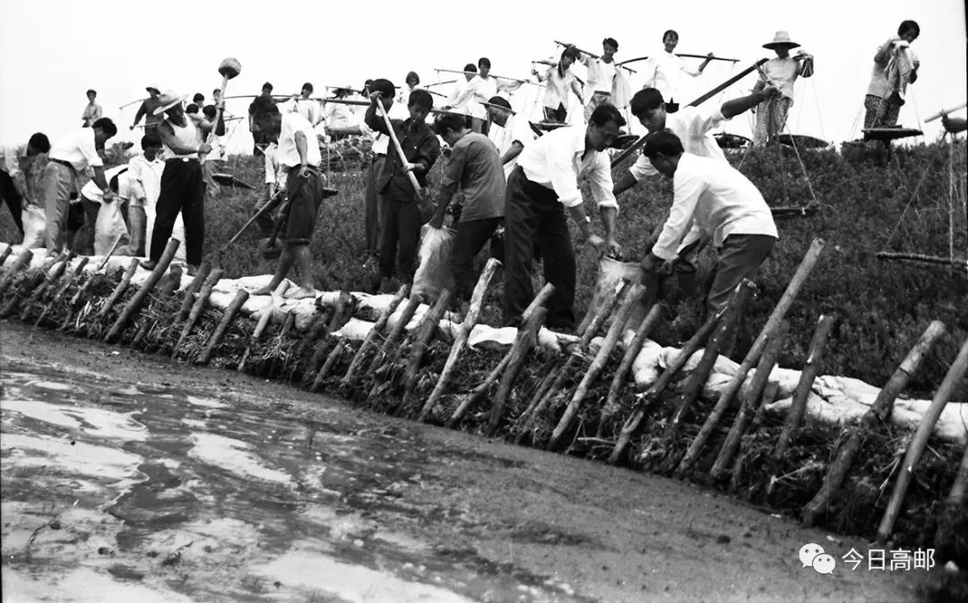 1991年特大洪水高邮人难忘的记忆