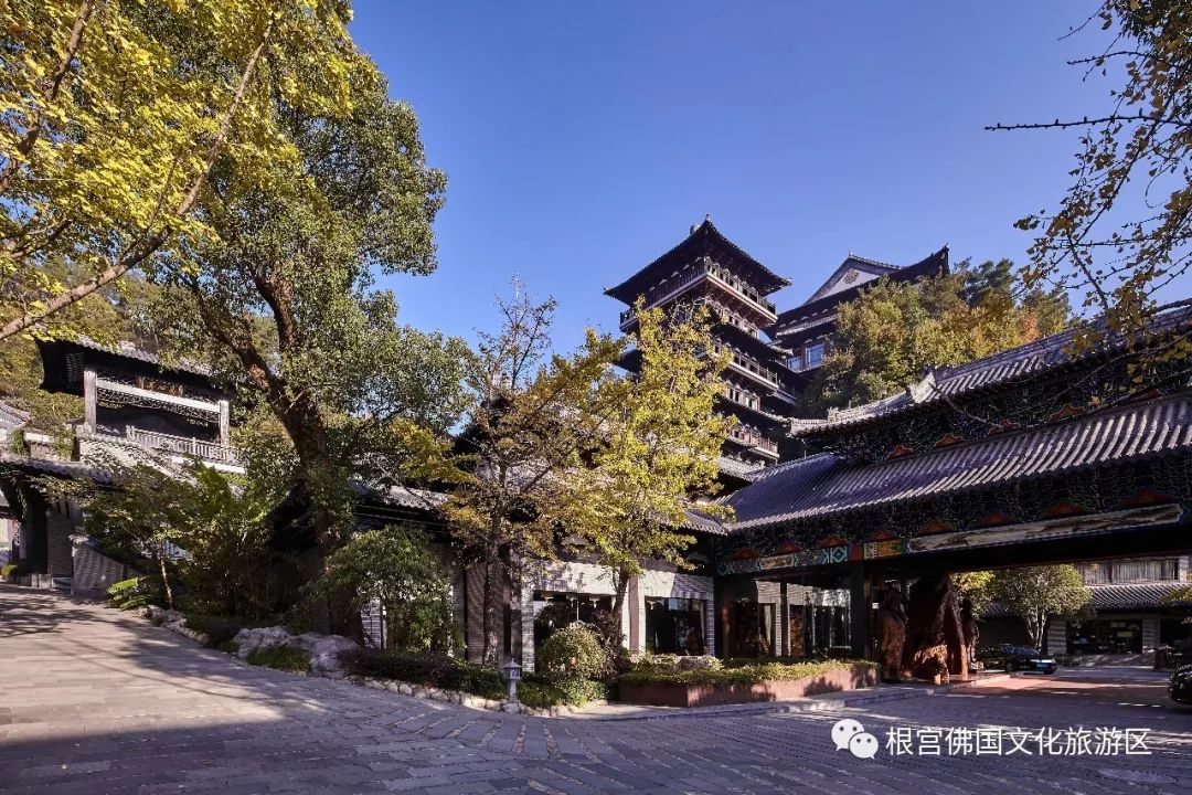 打卡开化天然氧吧宿绝美根文化主题酒店