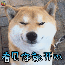 爱,可以治愈一切陪伴,其实很简单但它的一生只属于你狗狗虽然不能陪伴