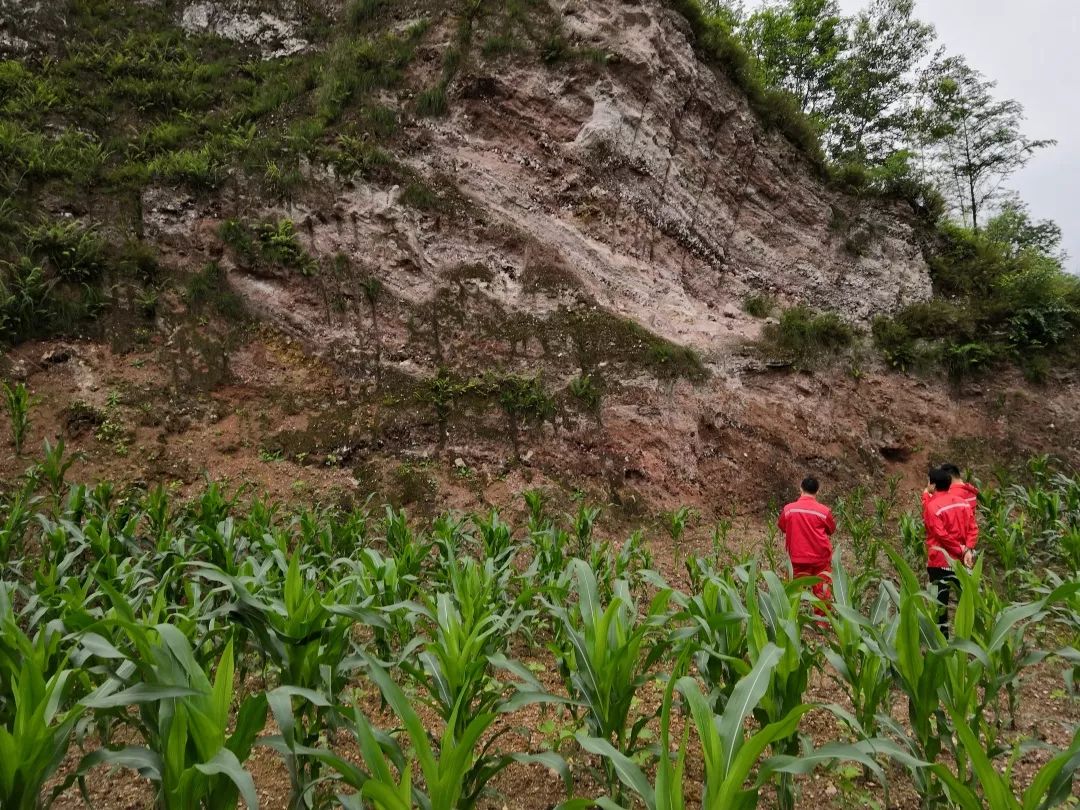 勘探研究院野外地质调查又有新发现