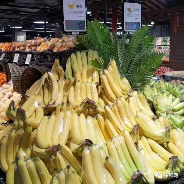现在很多门店会出现精品香蕉与普通香蕉陈列混乱,品质掺杂不清,成熟度