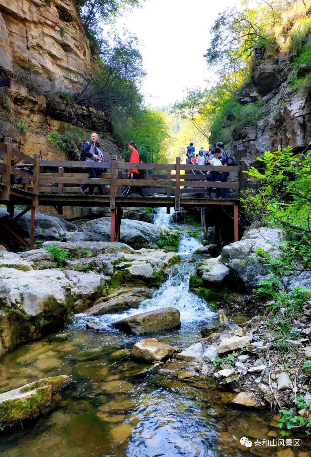 大雨沖刷後的黃花溪山泉噴湧