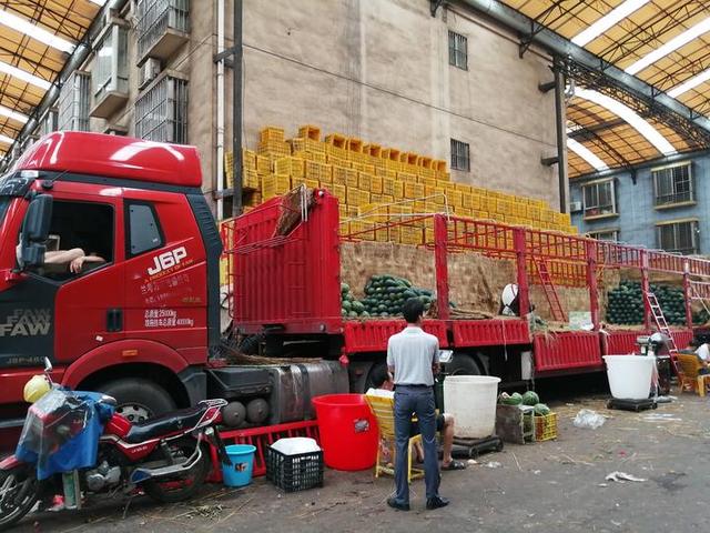 田鸡当宠物养水果用超长汽车摆卖贵港有个宝藏市场
