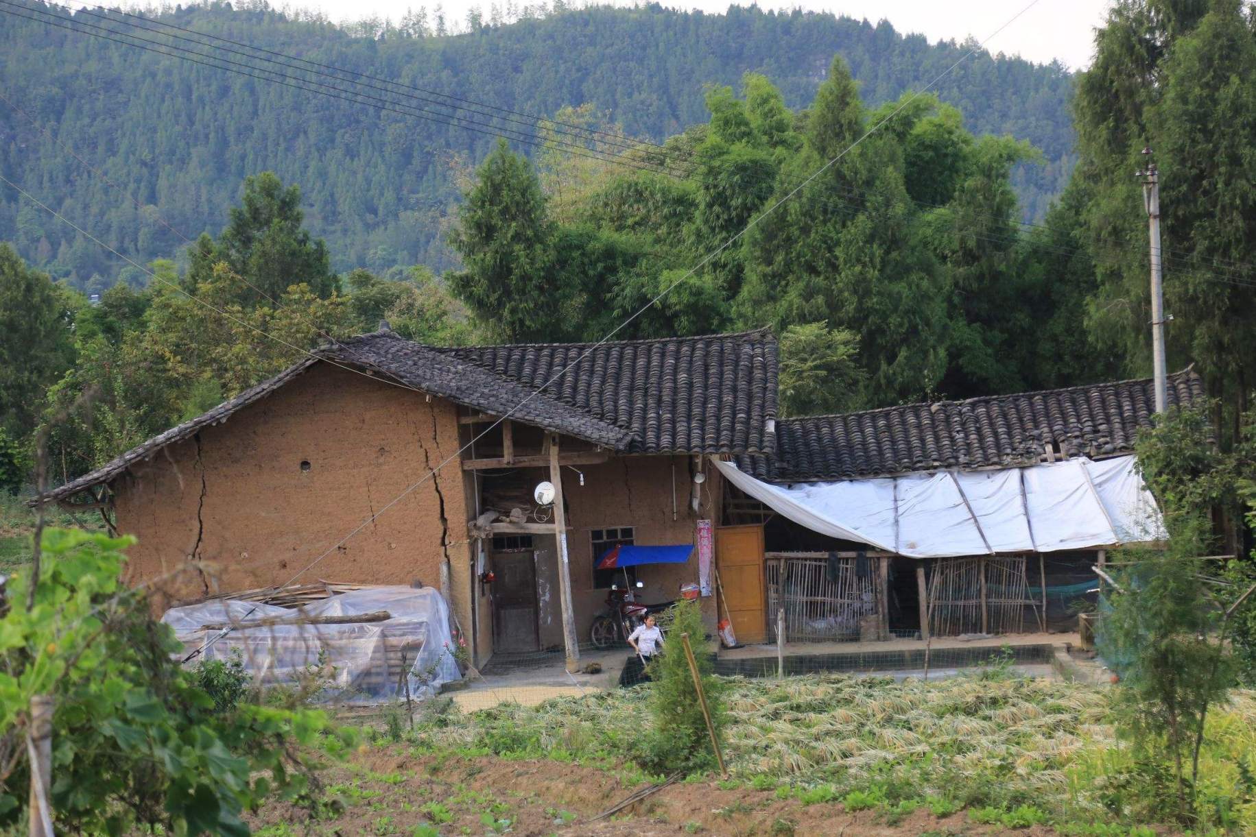 农村真实房屋图片