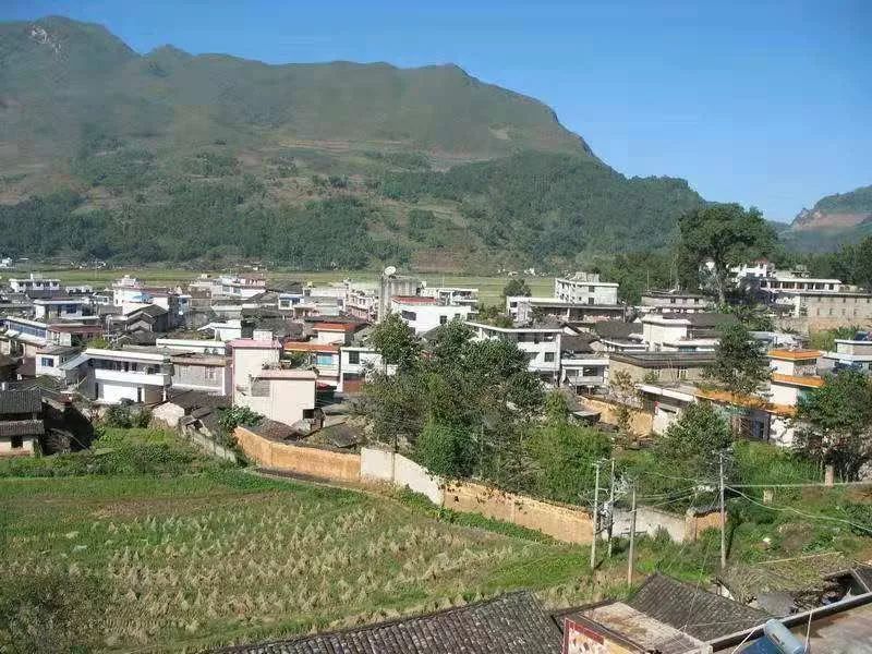 近年来,永德县小勐统镇以创新产业专业合作社发展模式为主线,通过政策