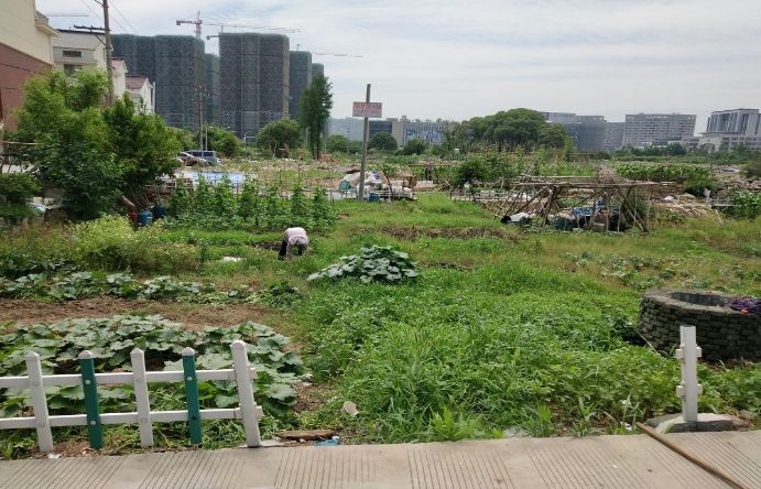 庙前地村这块地即将拍卖,建筑面积超…_新昌县