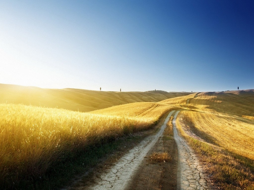 的目光原諒風中飄零或悲愴的落葉原諒陰霾,速度,道路的泥濘與孤獨對飲