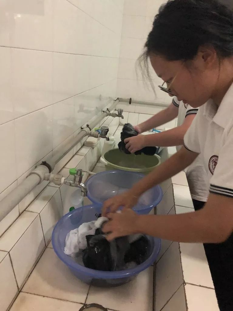【年级部】入住我们的新家——开启奉贤中学独立生活新篇章_寝室