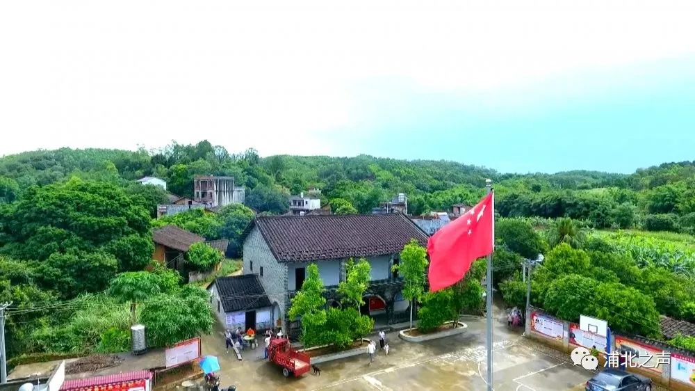 去年,该县投入750万元对大成镇柑子根村"白石水地区农村第一党支部