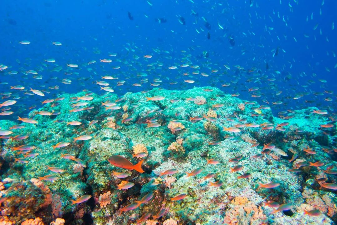 01%的人去过!_西沙