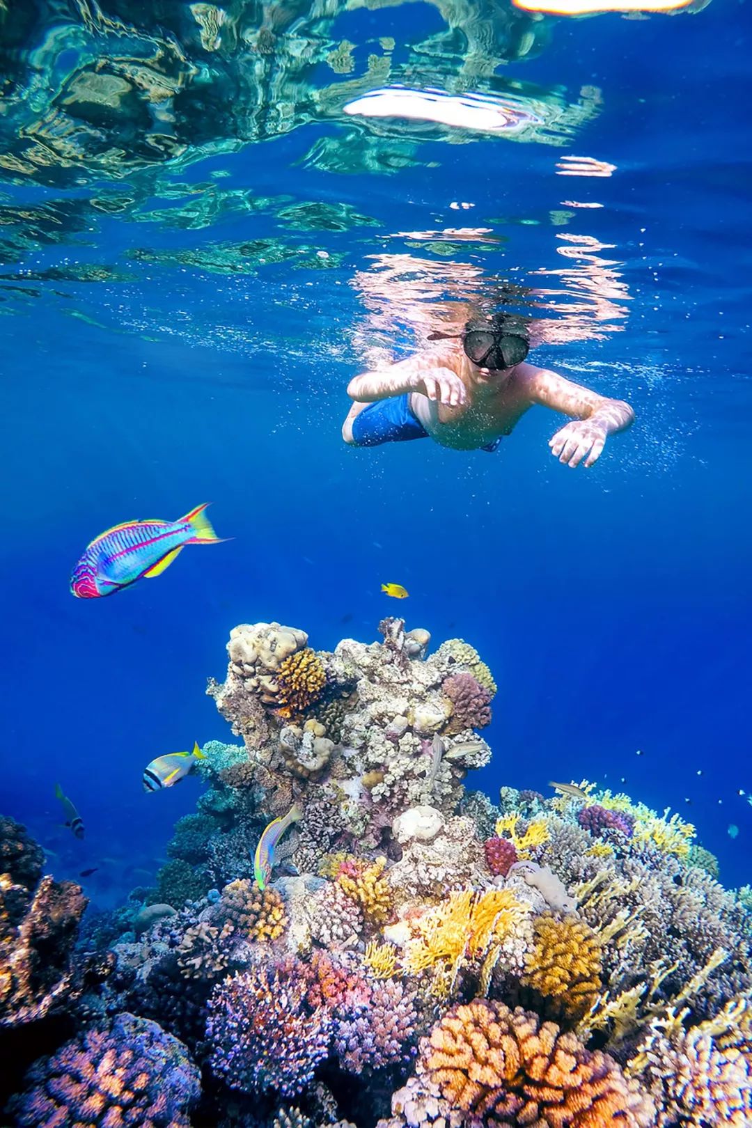 完胜马尔代夫美过帕劳这片只有中国人才能踏足的绝美海域只有001的人