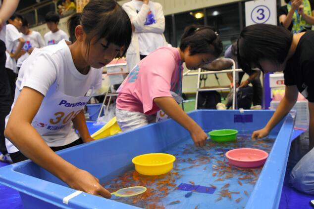 日本举行捞金鱼大赛1850人参与挑战