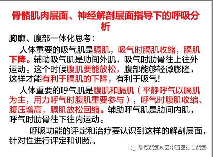 骨骼肌肉層面神經解剖層面指導下的吞嚥和呼吸康復訓練