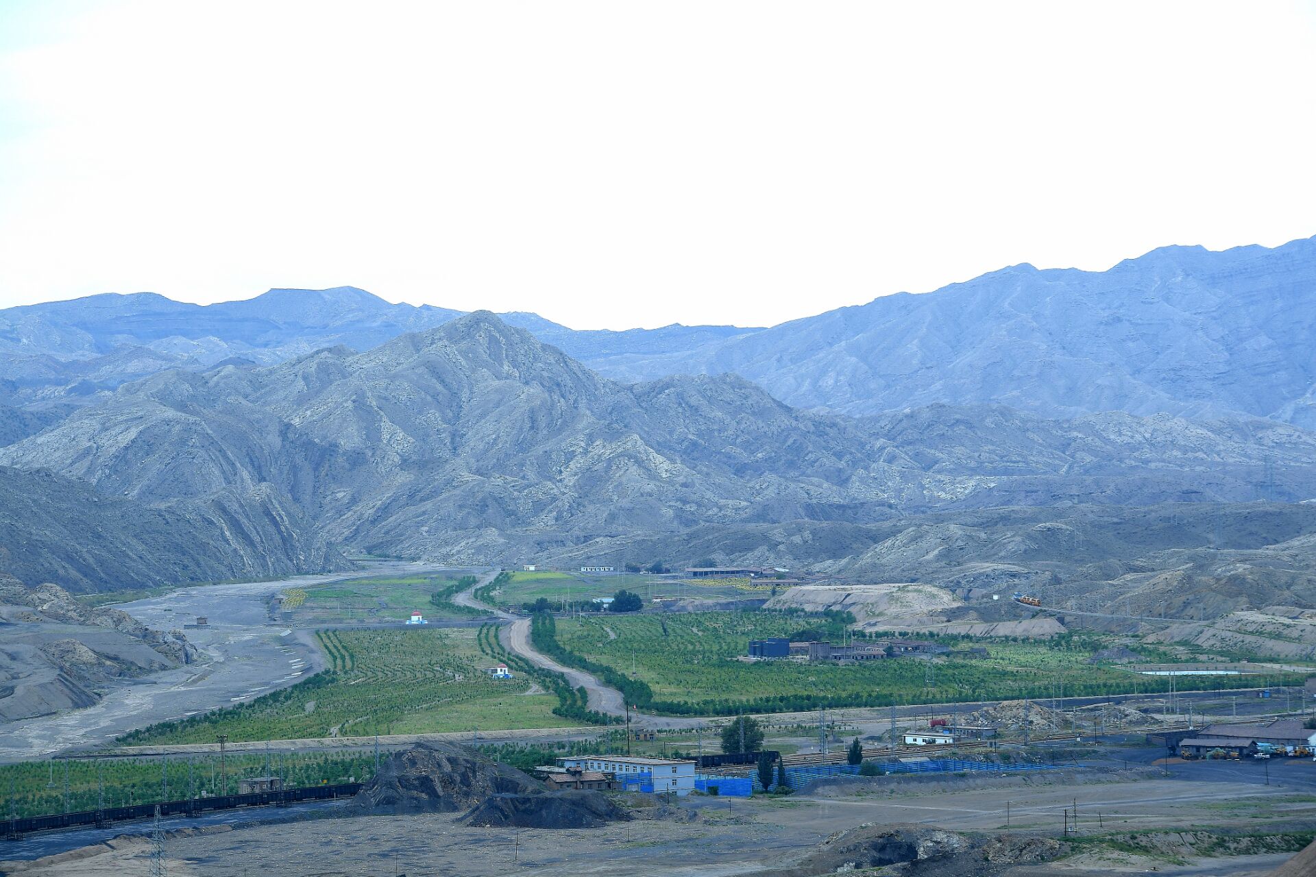 点赞新宁夏丨煤山变青山全国网络媒体见证贺兰山生态奇迹