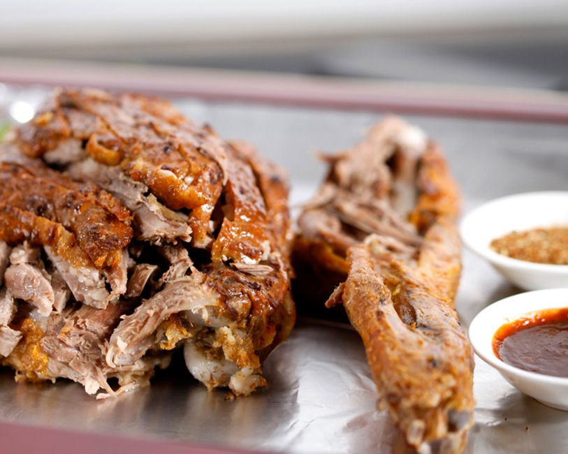 汗昭格分享永远的蒙古马与世界共享