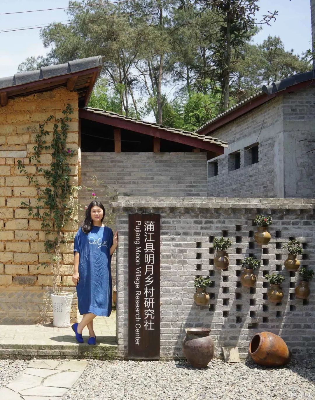 直播实录陈奇乡村振兴项目的系统建设实践