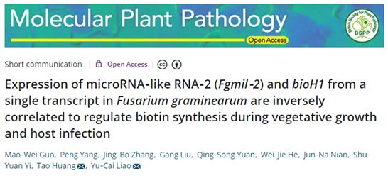 华中农业大学麦类作物分子生物技术实验室廖玉才/黄涛课题组揭示禾谷