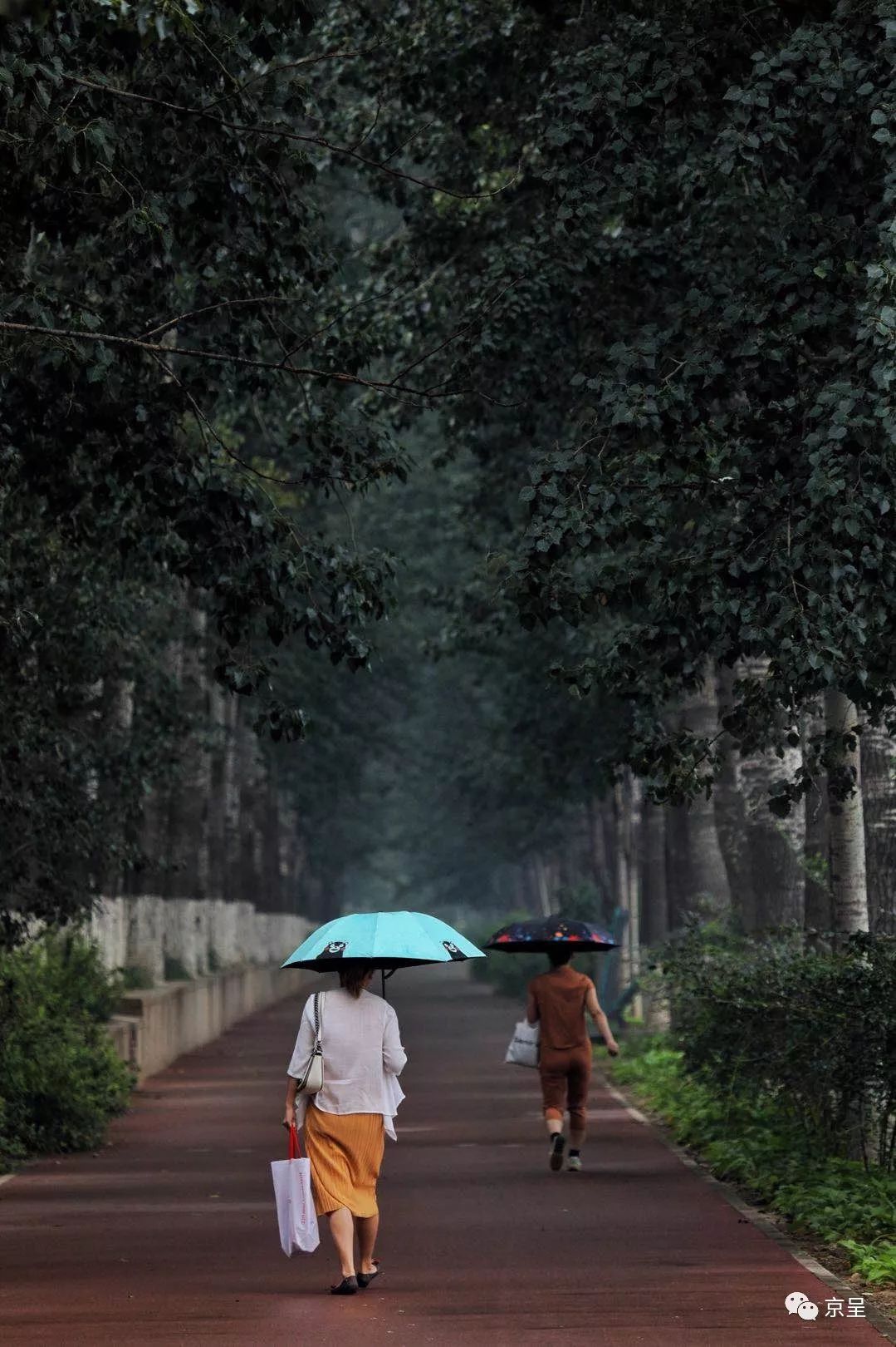 小雨清凉,告别三伏_行人