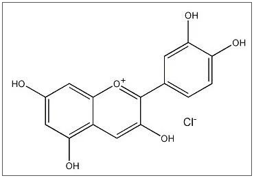 女人之间的差距就是这么来的……_花青素