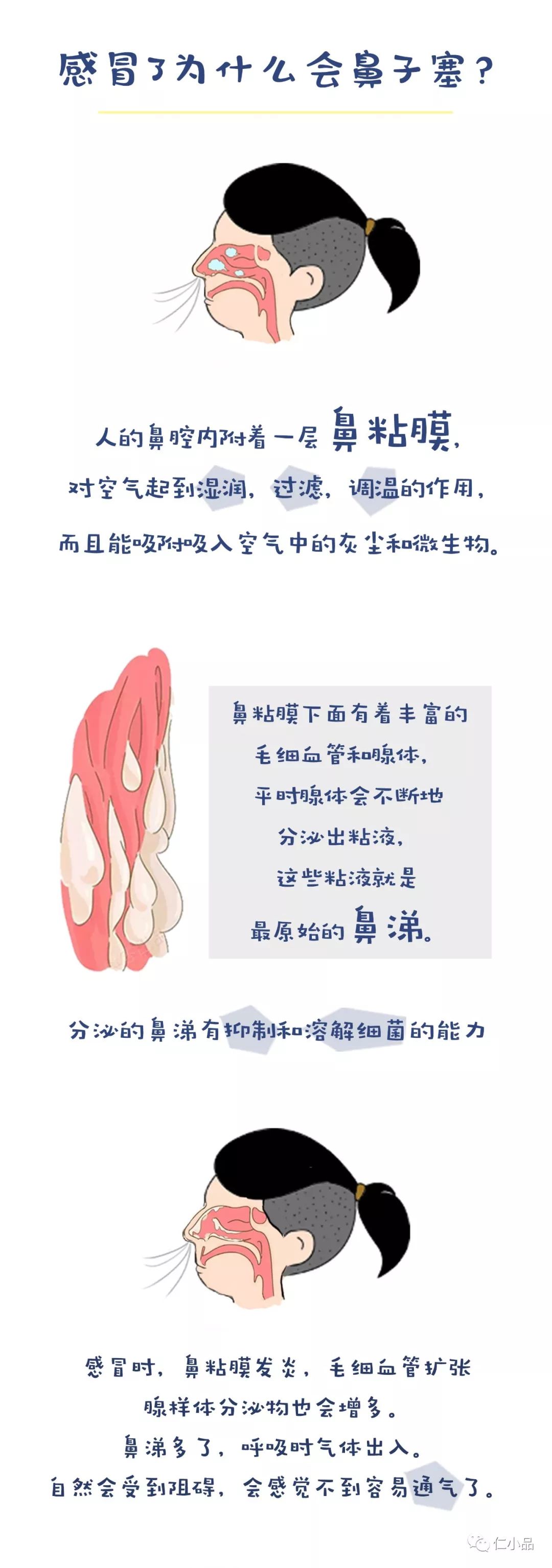 感冒了为什么鼻子一边堵塞一边通气现在终于知道了