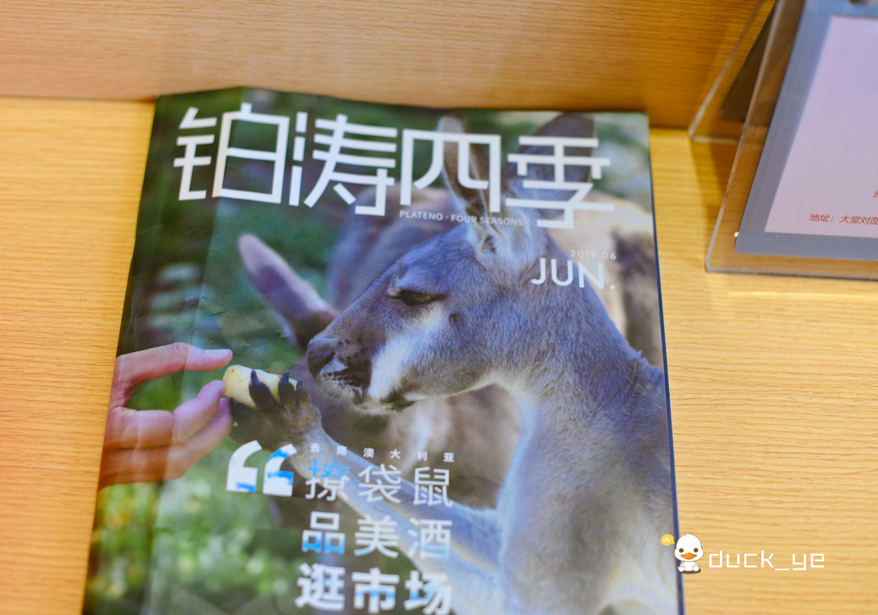 用「品質感」造就美夢，酒店選擇這裡讓你煩惱全無 旅遊 第20張