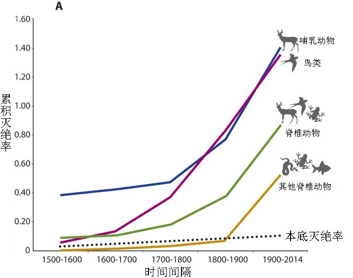 可以看到各个类群的灭绝率在人类进入工业社会后均呈直线上升趋势