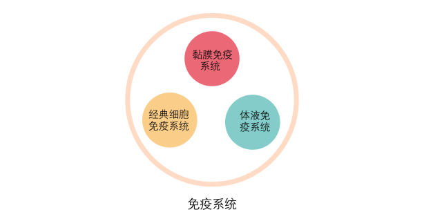 腸道菌群機體抵抗病原入侵感染的第一道防線