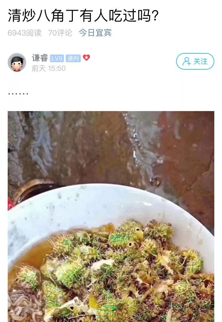 高县这种蜇人就起大包的虫子竟有人炒来吃卖500元斤