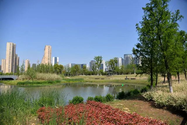 宁波鄞州生态走廊图片
