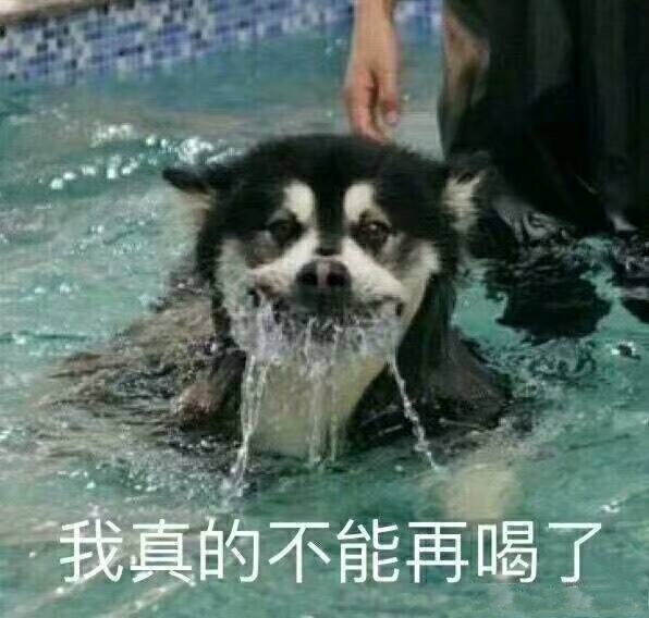 爆笑段子一个神病院患者问我你经历过绝望吗