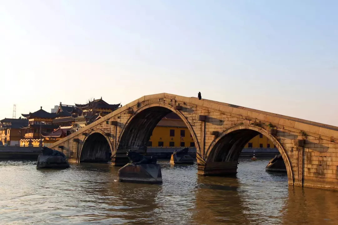 征集荷花萌宝抖出来有奖励哦