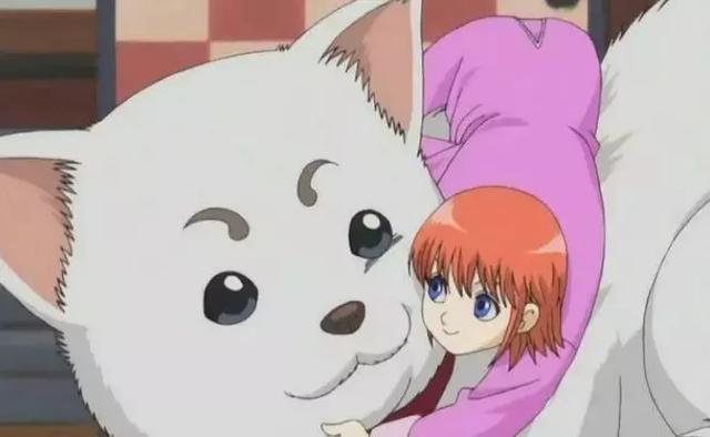 和伊丽莎白,justwe一同被称为《银魂》三大吉祥物,由巫女阿音和百音因