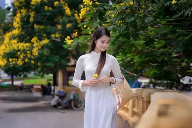 越南越美北海东兴越南下龙湾河内双飞六日游