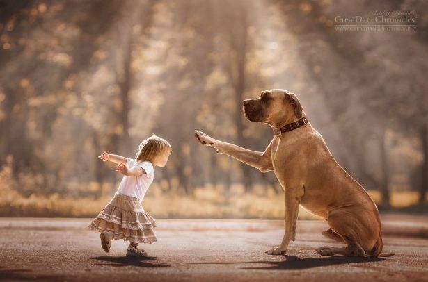 超有爱当萌娃遇上大狗每一个画面都是治愈系