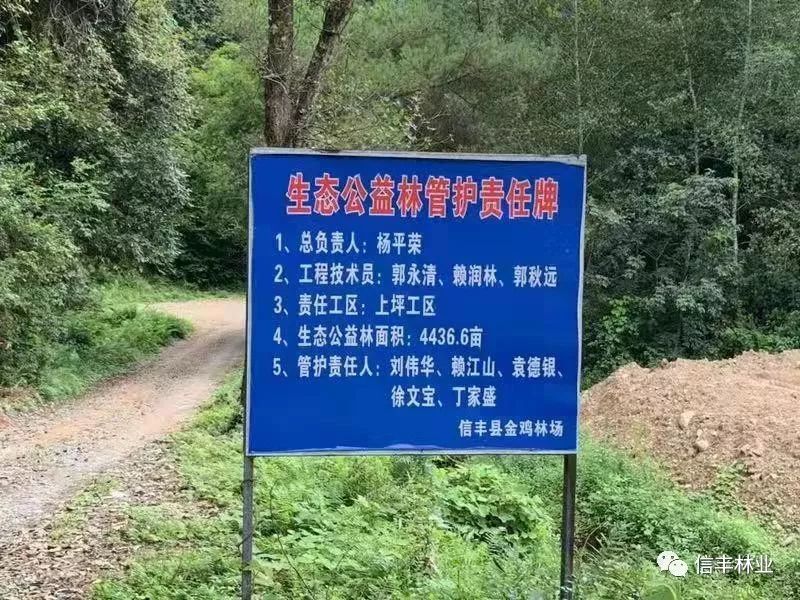 一手抓宣传一手抓管理信丰县积极推进生态公益林建设与管理工作