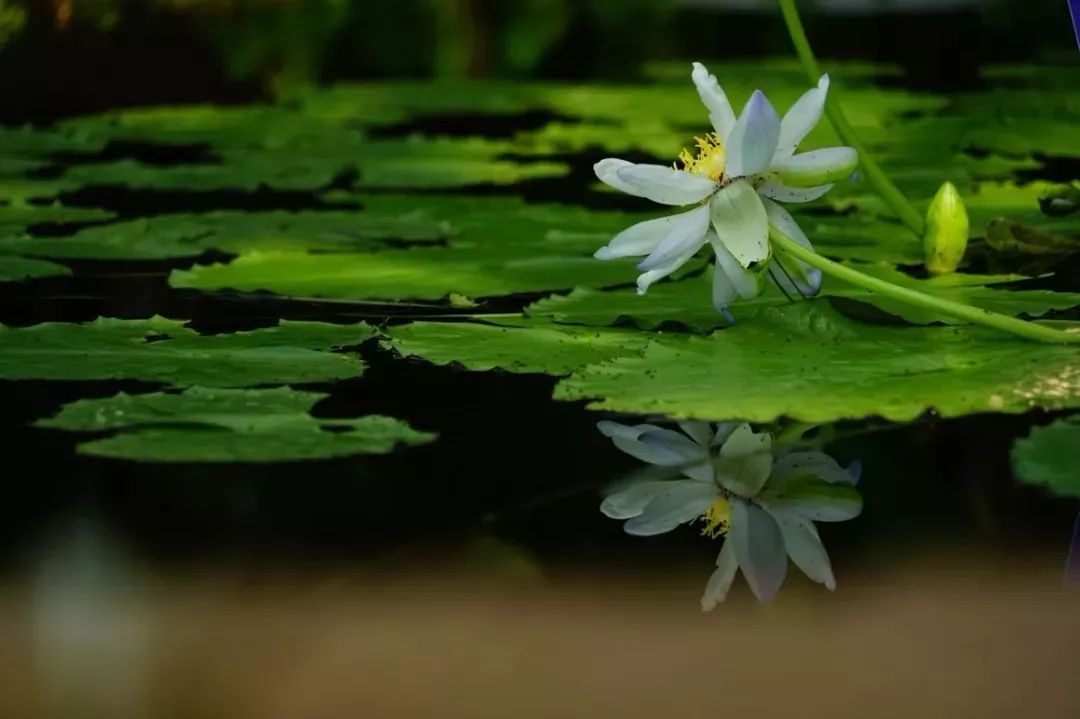 王陽明心學四大驚人智慧