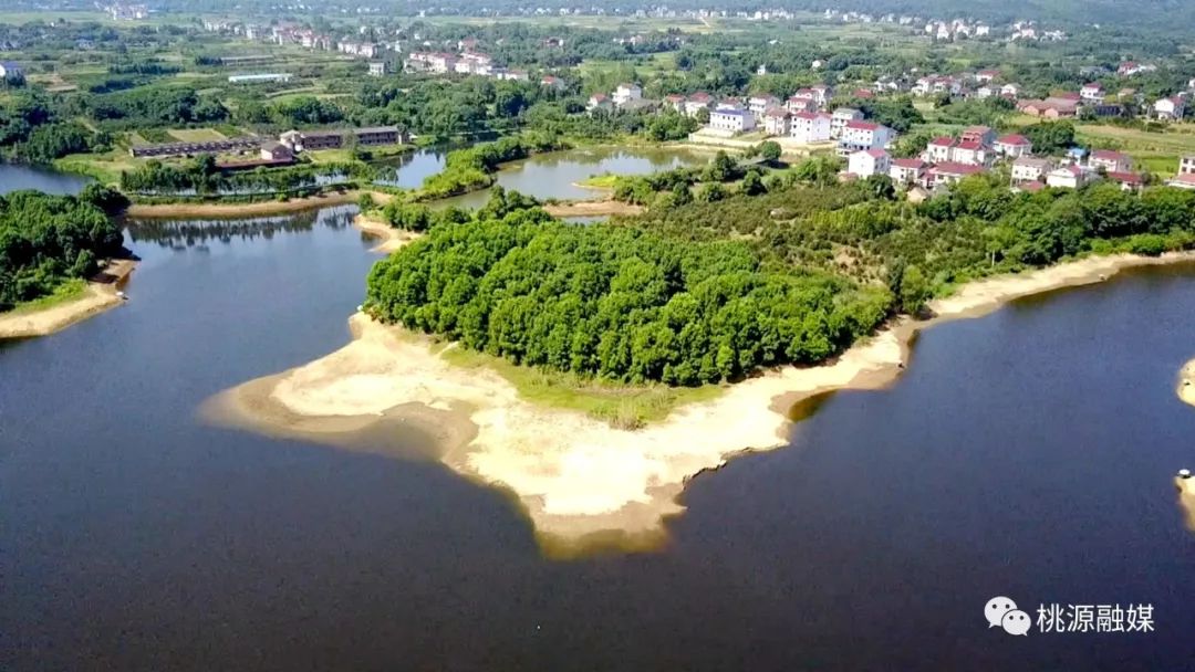 桃源木塘垸15万亩农田受旱河水库水地下水合力解渴