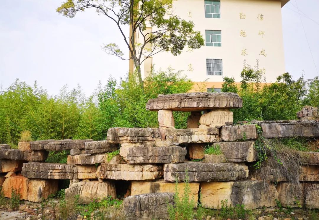点燃学生学习的核动力曲靖市麒麟高中举办青少年卓越领袖特训营