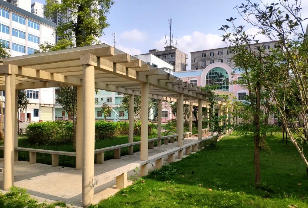 文化长廊健身设备院内环境优雅,绿树成荫,空气清新配套完善,是长辈们