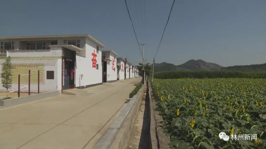 临淇镇社书村旧貌换新颜乡村振兴焕发勃勃生机