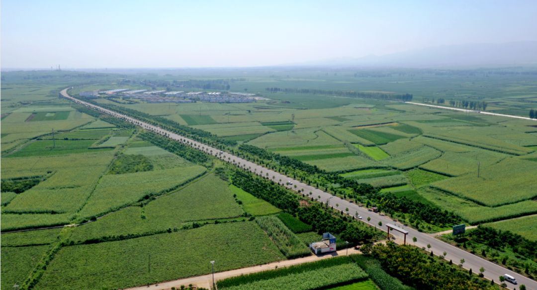 【寻找最美乡村】孟脑村:一个村庄,一片田野,一幅画_蔡店乡