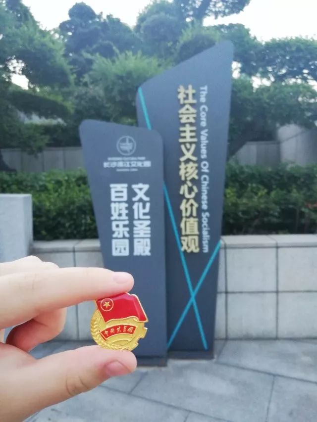 行走的团徽配图图片